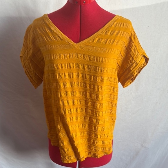 cleo Tops - Cleo Gold Ribbed Short Sleeve Blouse SM356